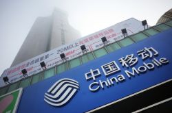 (10分钟科普下)德宏傣族景颇族自治州政府网_哔哩哔哩-3